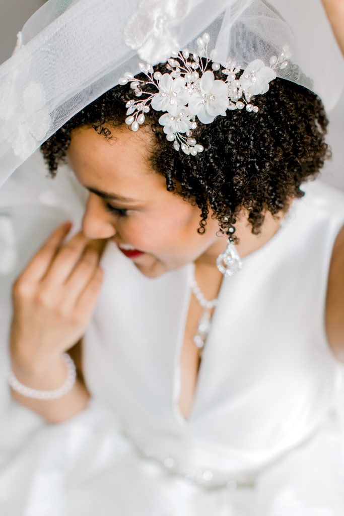 bride covered by the veil, hair updo 