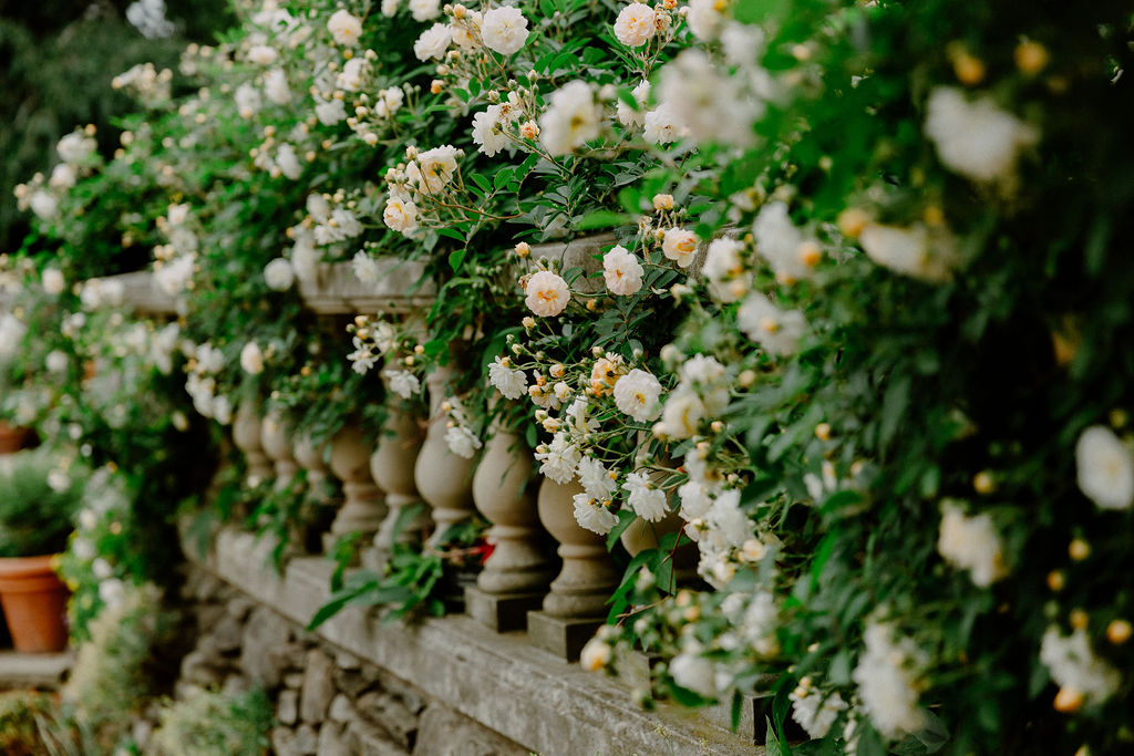 Botanic Garden wedding, rose garden blooms